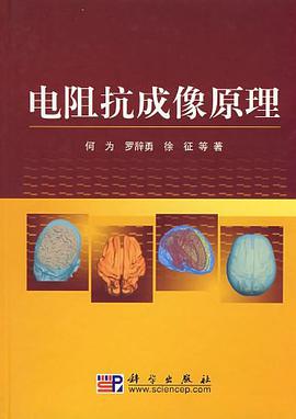 电阻抗成像原理 pdf epub mobi 电子书 下载