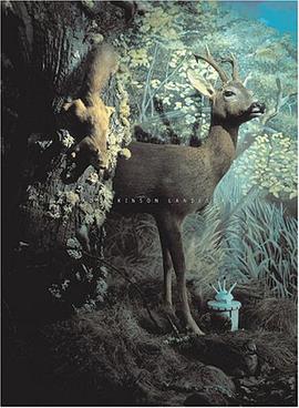 Conrad Atkinson Landescapes pdf epub mobi 电子书 下载
