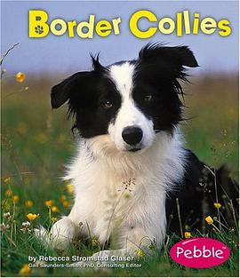 Border Collies pdf epub mobi 电子书 下载