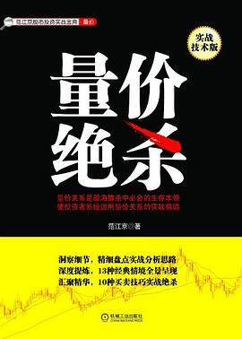 量价绝杀 pdf epub mobi 电子书 下载