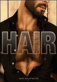 Hair: Hairy Men in Gay Art pdf epub mobi 电子书 下载