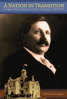 A Nation in Transition pdf epub mobi 电子书 下载