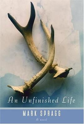 An Unfinished Life pdf epub mobi 电子书 下载