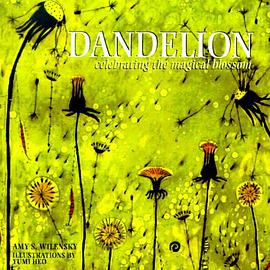 Dandelion pdf epub mobi 电子书 下载