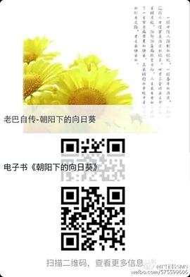 朝陽下的嚮日葵 pdf epub mobi 電子書 下載