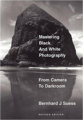 Mastering Black-and-White Photography pdf epub mobi 电子书 下载