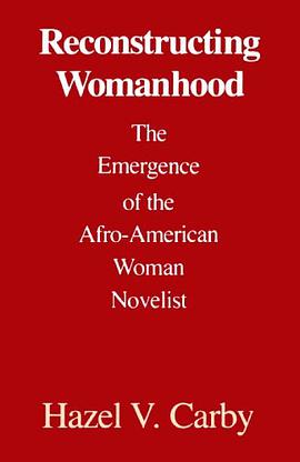 Reconstructing Womanhood pdf epub mobi 电子书 下载