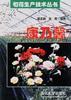 康乃馨 pdf epub mobi 电子书 下载