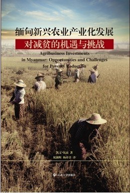 缅甸新兴农业产业化发展对减贫的机遇与挑战 pdf epub mobi 电子书 下载