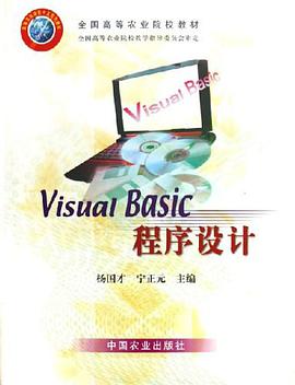 Visual Basic程序设计 pdf epub mobi 下载