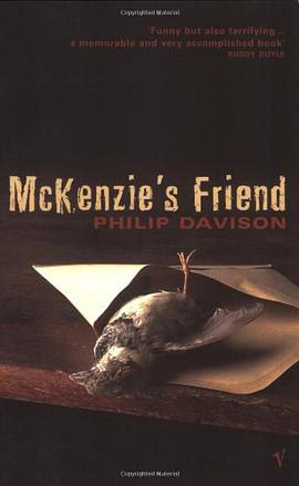McKenzie's Friend pdf epub mobi 电子书 下载