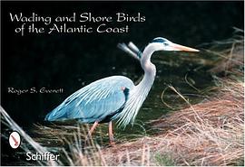 Wading and Shore Birds of the Atlantic Coast pdf epub mobi 电子书 下载