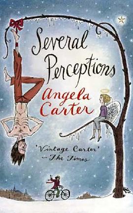 Several Perceptions pdf epub mobi 电子书 下载