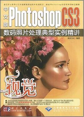 视觉 pdf epub mobi 电子书 下载