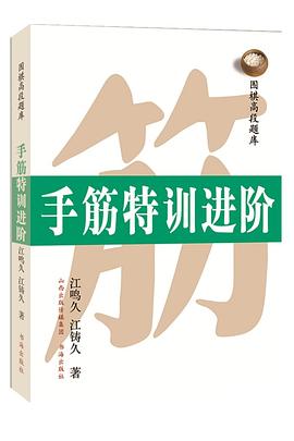 手筋特训进阶 pdf epub mobi 电子书 下载
