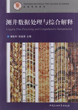 测井数据处理与综合解释 pdf epub mobi 电子书 下载
