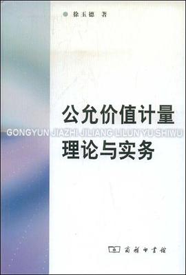 公允价值计量理论与实务 pdf epub mobi 电子书 下载