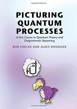 Picturing Quantum Processes pdf epub mobi 电子书 下载