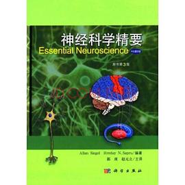 神經科學精要