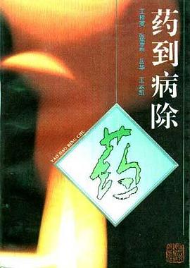 药到病除 pdf epub mobi 电子书 下载