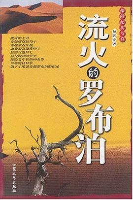 流火的罗布泊 pdf epub mobi 电子书 下载