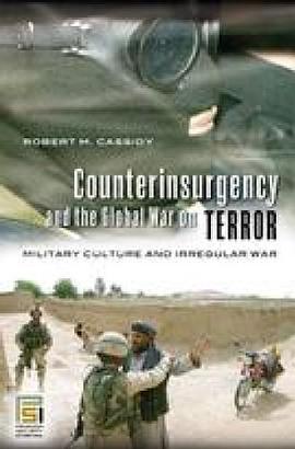 Counterinsurgency and the Global War on Terror