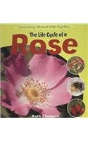 The Life Cycle of a Rose pdf epub mobi 电子书 下载