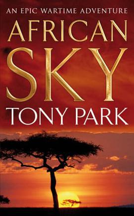 African Sky pdf epub mobi 下载