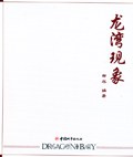 龙湾现象 pdf epub mobi 电子书 下载