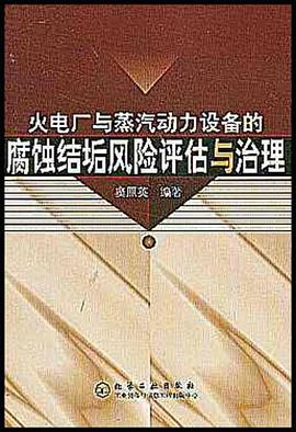 火电厂与蒸汽动力设备的腐蚀结垢风险评估与治理