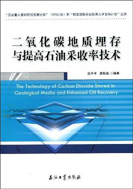 二氧化碳地质埋存与提高石油采收率技术 pdf epub mobi 电子书 下载