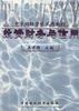 投资财务与信用 pdf epub mobi 电子书 下载
