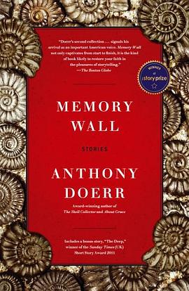 Memory Wall pdf epub mobi 電子書 下載