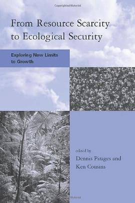 From Resource Scarcity to Ecological Security pdf epub mobi 下载