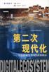 第二次现代化 pdf epub mobi 电子书 下载