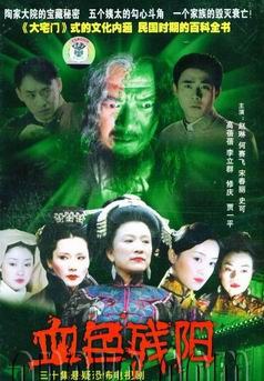 血色残阳三十集…十碟装(DVD) pdf epub mobi 电子书 下载