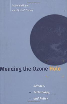 Mending the Ozone Hole pdf epub mobi 电子书 下载