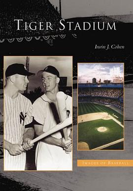 Tiger Stadium pdf epub mobi 电子书 下载