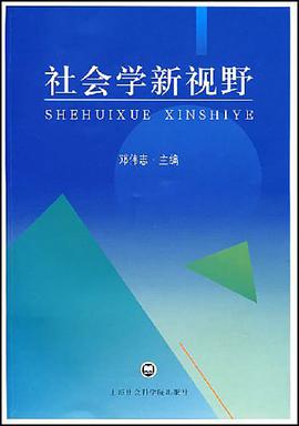 社会学新视野