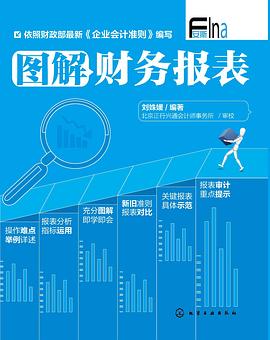 图解财务报表 pdf epub mobi 电子书 下载