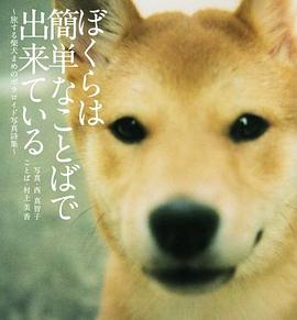 ぼくらは簡単なことばで齣來ている pdf epub mobi 電子書 下載