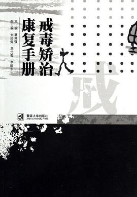 戒毒矫治康复手册 pdf epub mobi 电子书 下载