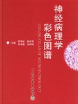 神经病理学彩色图谱 pdf epub mobi 电子书 下载