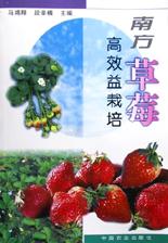 南方草莓高效益栽培 pdf epub mobi 电子书 下载