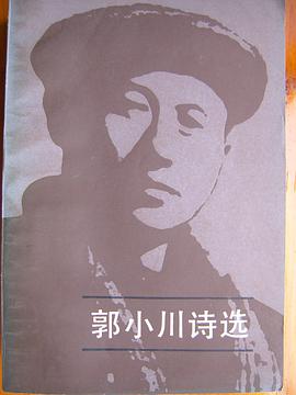 郭小川诗选(共两册)
