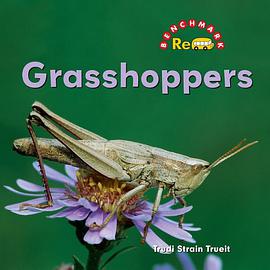 Grasshoppers pdf epub mobi 电子书 下载