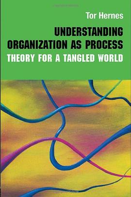 Understanding Organization as Process