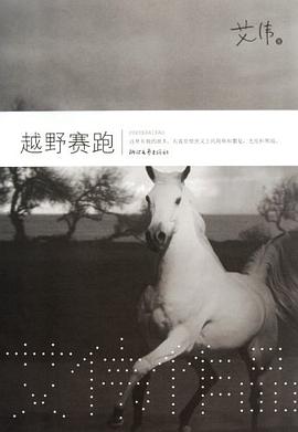 越野赛跑 pdf epub mobi 电子书 下载