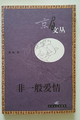 非一般爱情 pdf epub mobi 电子书 下载