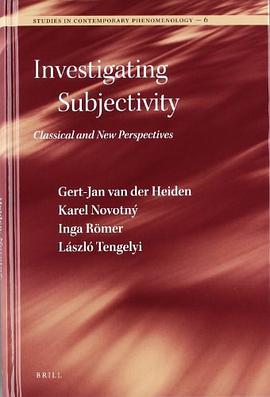 Investigating Subjectivity pdf epub mobi 电子书 下载